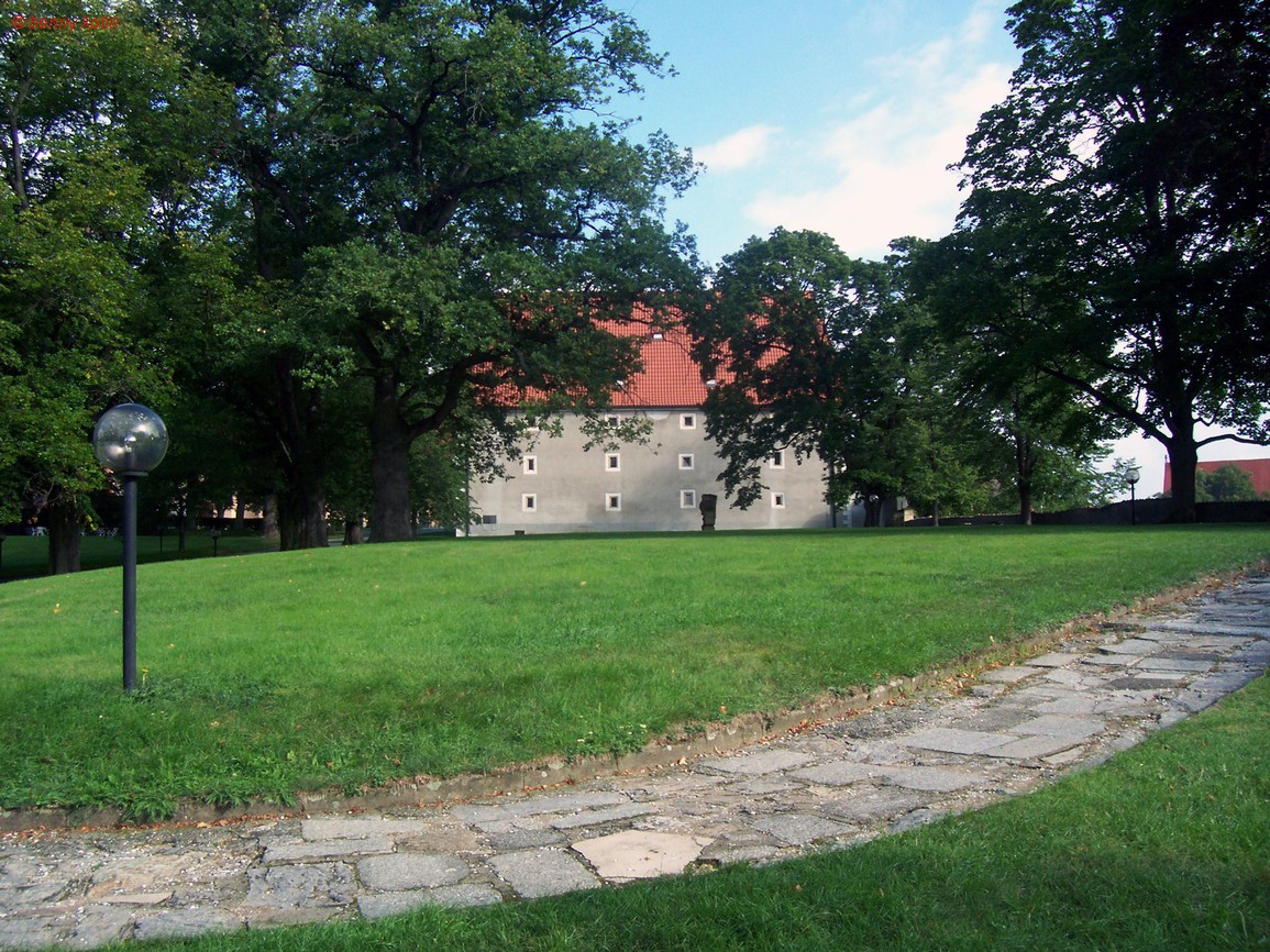 Snímek 014