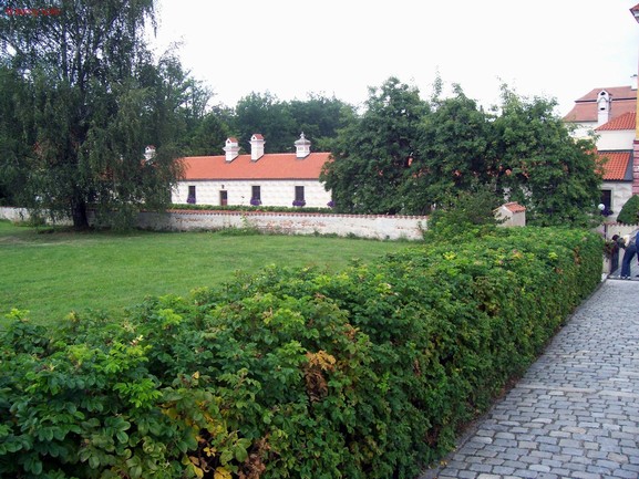 Snímek 142