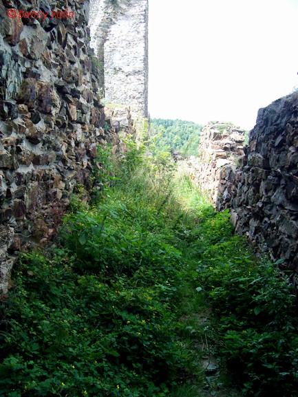 Snímek 161