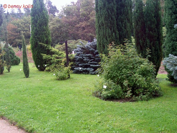 Park 221