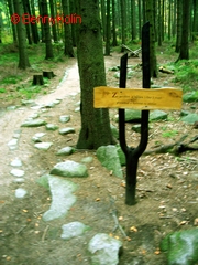 Snímek 218