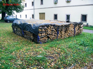 Snímek 266